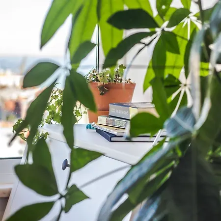 Graça Amazing River Views