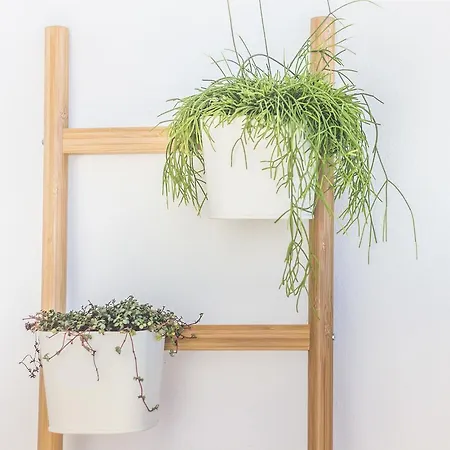 Graça Amazing River Views