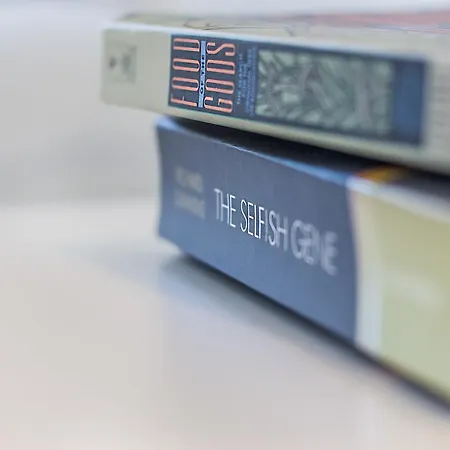 Graca Amazing River Views 公寓